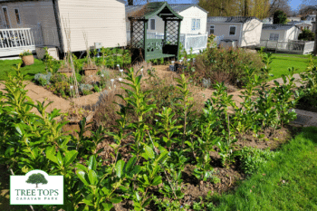 Sensory Garden at Tree Tops Caravan Park in North Wales