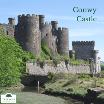 Conwy Castle, North Wales