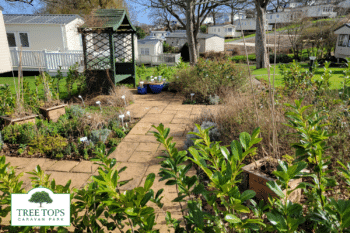 Sensory Garden at Tree Tops Caravan Park in North Wales