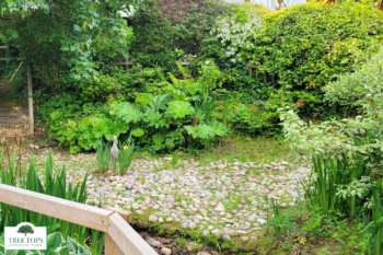 Carnaby Glaisdale 2 bedroom caravan for sale at Tree Tops Caravan Park in North Wales