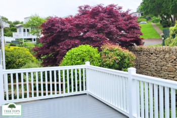 Carnaby Glaisdale 2 bedroom caravan for sale at Tree Tops Caravan Park in North Wales