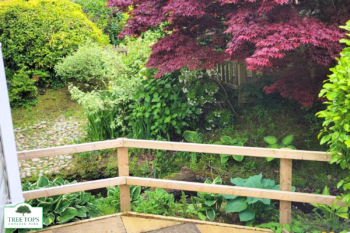 Carnaby Glaisdale 2 bedroom caravan for sale at Tree Tops Caravan Park in North Wales