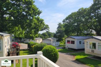 Delta Santana 2 bedroom caravan for sale at Tree Tops Caravan Park in North Wales