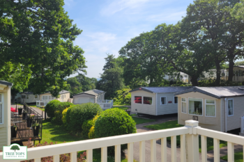 Delta Santana 2 bedroom caravan for sale at Tree Tops Caravan Park in North Wales