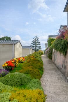 _NZ74015