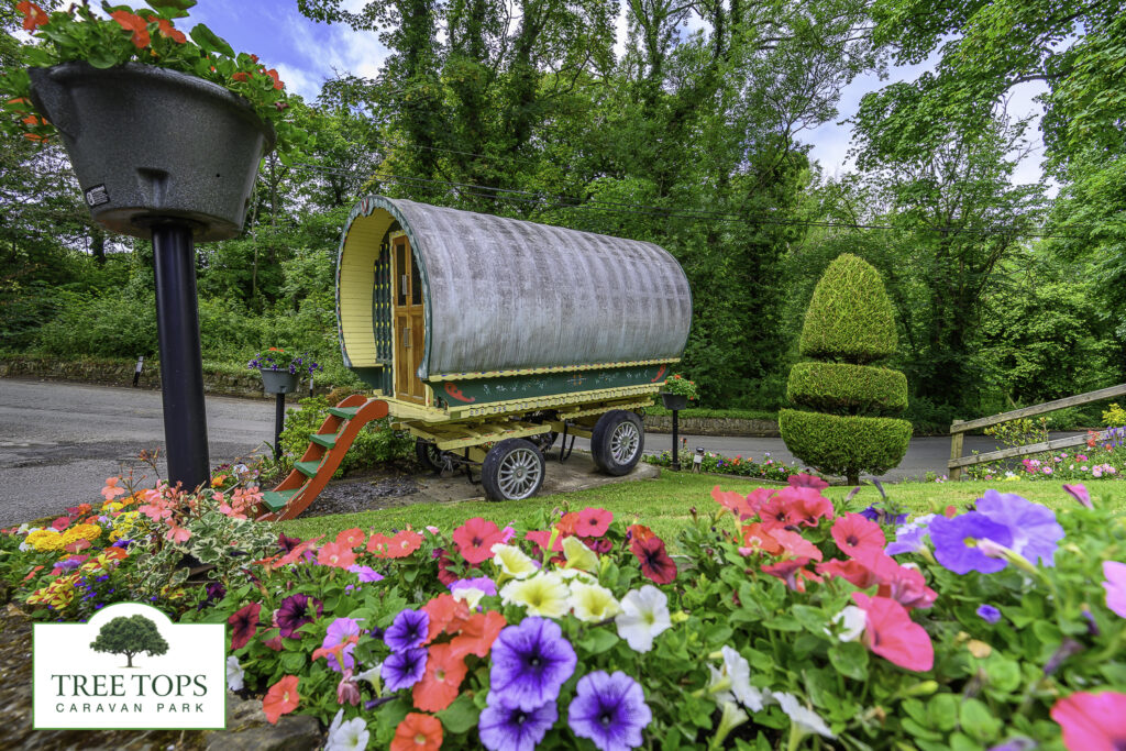 2022 Wales in Bloom Gold Winners - Tree Tops Caravan Park