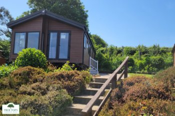 Willerby Portland 2 bedroom lodge for sale at Tree Tops Caravan Park in North Wales
