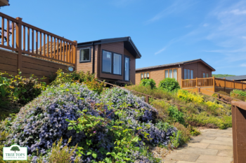 Willerby Portland 2 bedroom lodge for sale at Tree Tops Caravan Park in North Wales