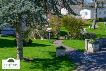 Tree Tops Caravan Park in North Wales