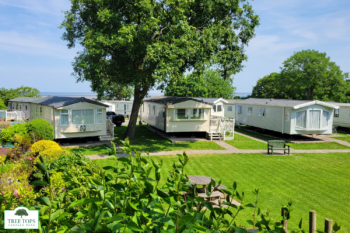 ABI Adelaide 2 bedroom caravan for sale at Tree Tops Caravan Park in North Wales