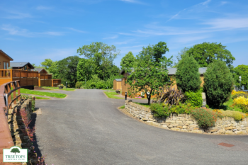Willerby Portland 2 bedroom lodge for sale at Tree Tops Caravan Park in North Wales