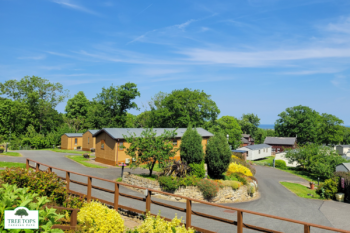 Willerby Portland 2 bedroom lodge for sale at Tree Tops Caravan Park in North Wales