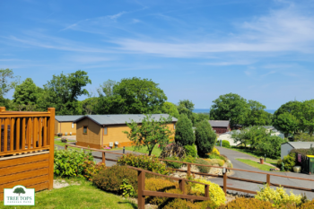 Willerby Portland 2 bedroom lodge for sale at Tree Tops Caravan Park in North Wales