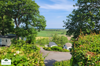 ABI Windermere 2 bedroom caravan for sale at Tree Tops Caravan Park in North Wales