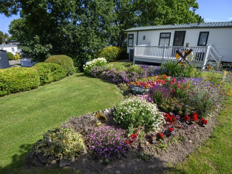 Tree Tops Caravan Park Spring 2026 Open Weekend