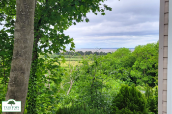 Swift Loire 2 bedroom caravan with views for sale at Tree Tops Caravan Park in North Wales