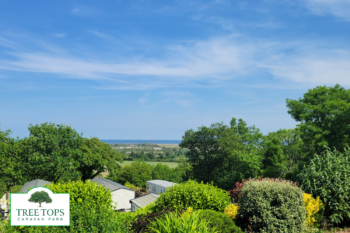 Swift Moselle 2 bedroom caravan with views for sale at Tree Tops Caravan Park in North Wales