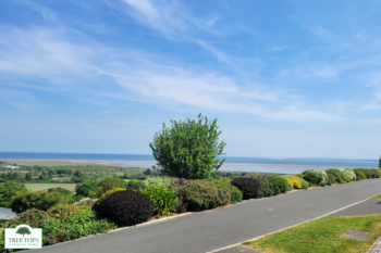 Willerby Sheraton 2 bedroom caravan with views for sale at Tree Tops Caravan Park in North Wales