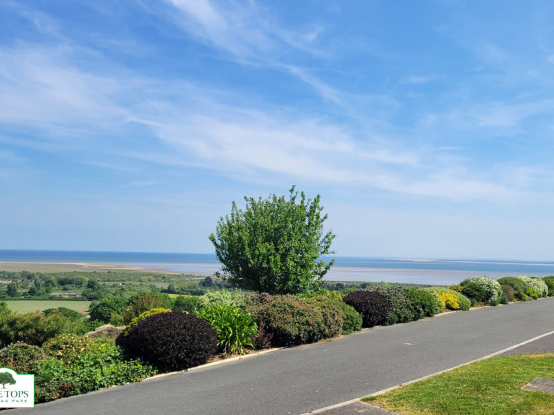 Willerby Sheraton 2 bedroom caravan with views for sale at Tree Tops Caravan Park in North Wales