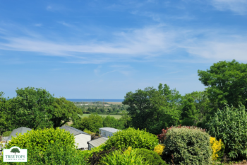Swift Moselle 2 bedroom caravan for sale at Tree Tops Caravan Park in North Wales