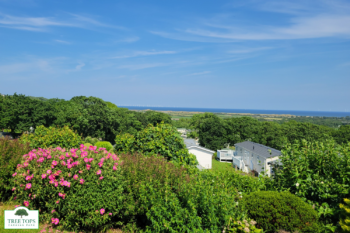 ABI Langdale 2 bedroom caravan with views for sale at Tree Tops Caravan Park in North Wales