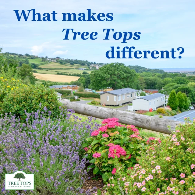 With so many great holiday caravan parks to choose from, what makes Tree Tops stand out from the rest?🤔Well, we're an owners-only park with no subletting (although your family and friends are welcome to stay in your caravan), so you always know who your holiday-neighbours are, and you'll make plenty of lifelong friends here!😃💐Nestled on a hillside in North Wales, our Park is set in award-winning gardens, beautifully maintained by our amazing team of gardeners all year round.We want Tree Tops to be your haven of peace and tranquility from the moment you arrive. That's why we'll never push you for a sale and we operate in a relaxed atmosphere. The whole team is a really friendly bunch, and there's always time for a quick chat with our lovely 'Tree Toppers' when we see you around the Park!😄If this sounds like the perfect place for you to enjoy your very own holiday caravan, get in touch to arrange a visit (call us on 📞01745 560279) or drop in to see us!We're open 7 days a week for viewings, and we're always happy to talk through any questions you have about holiday caravan ownership.Take a look around our website to find out more about 🌳Tree Tops and see what we have for sale. 🔗Link in bio @treetopscp#treetopscaravanpark #staticcaravansforsaleinnorthwales #holidaycaravanpwnership #northwalescaravanpark