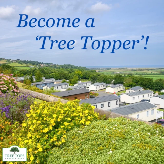 When you buy a holiday caravan at 🌳Tree Tops you're not just doing that, you're joining a fantastic community!We hold various events throughout the year, from coffee & cake mornings on behalf of local charities to Easter Egg hunts, and Halloween activities.😃You can also join our Facebook Owners Group to keep up-to-date with Park news, see recommendations from our lovely 'Tree Toppers' and ourselves of places to visit locally, and admire the fantastic photos shared to the group by our Tree Toppers!😊It's such a great place to be and you'll make friends for life!😃Find out more about Tree Tops Caravan Park on our website and get in touch if you have any questions about holiday caravan ownership with us or to book a viewing.Website 🔗 link in bio @treetopscp#treetopscaravanpark #holidaycaravan #staticcaravansforsaleinnorthwales #northwalesholidaypark #caravanparkinnorthwales