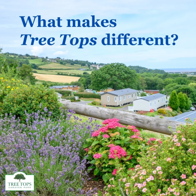 There are lots of things that make 🌳Tree Tops different from other caravan parks!✔Just one is that we're an owners-only park.This means we don't have a rental fleet or take tourers or tents, and there's no sub-letting (although your family and friends are welcome to stay at your caravan!😊).So you always know who your holiday neighbours are!😃Website 🔗link in bio @treetopscp#TreeTopsCaravanPark #CaravanParkNorthWales #OwnersOnlyCaravanParkInNorthWales #OwnersOnlyCaravanPark