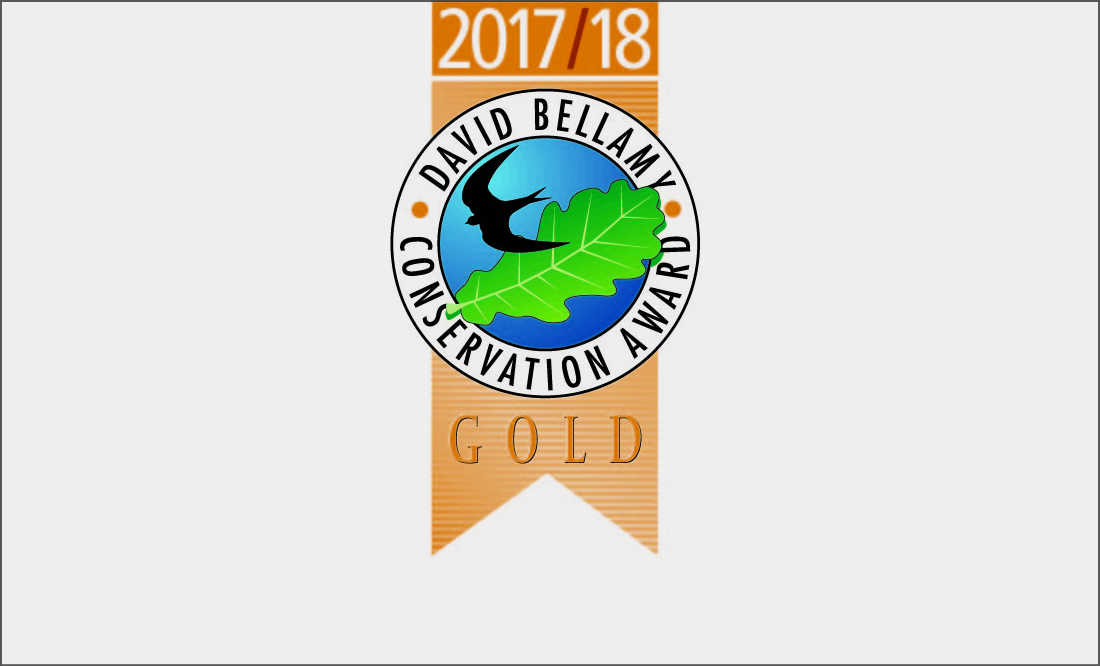 David Bellamy Conservation Award - Gold