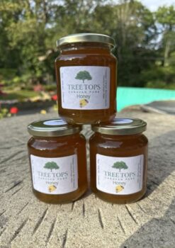 Tree Tops Caravan Park in North Wales Honey