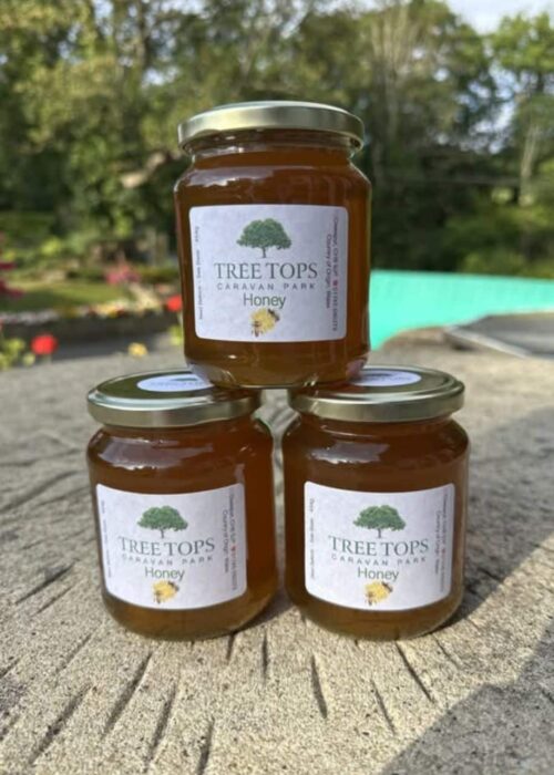 Tree Tops Caravan Park in North Wales Honey